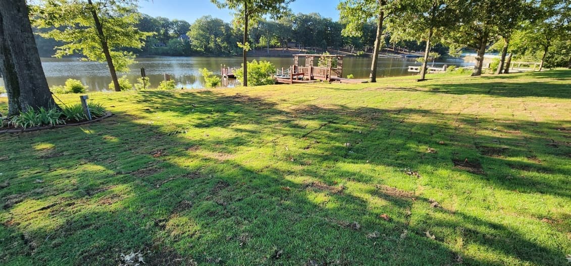 Complete Landscape Makeover