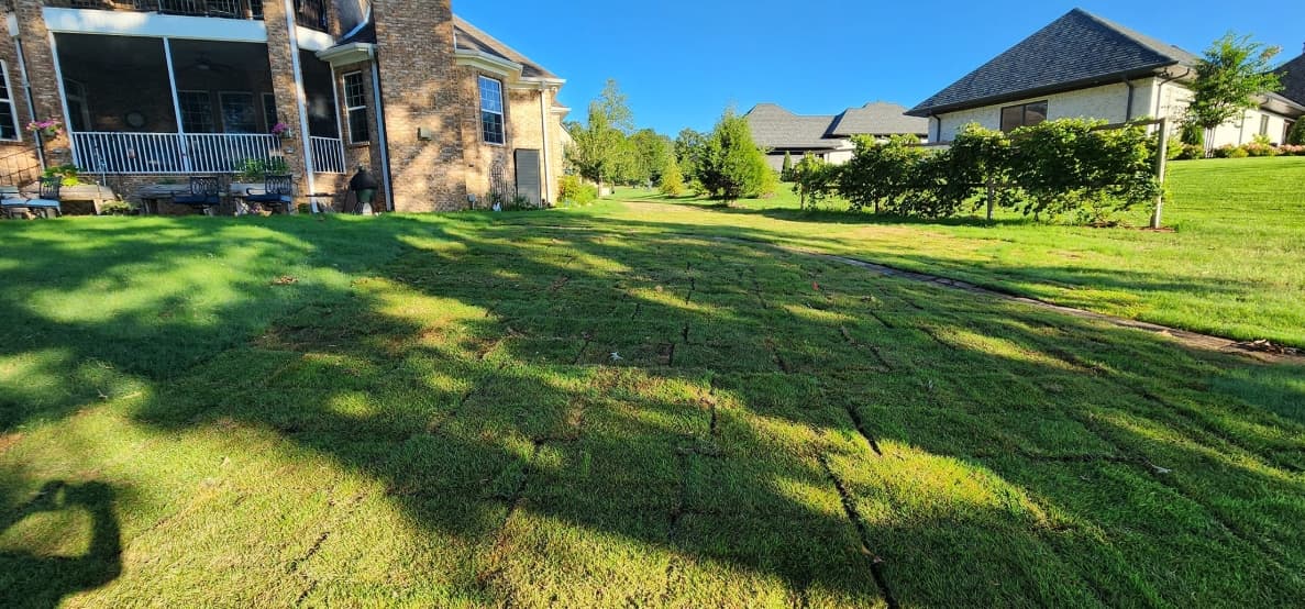 Premium Sod Installation