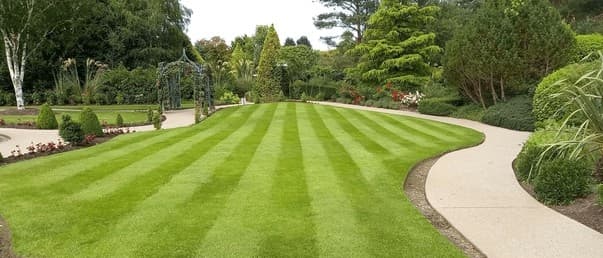 Garden Beds by Taylor's Lawn Care